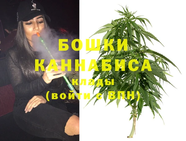 стаф Абаза