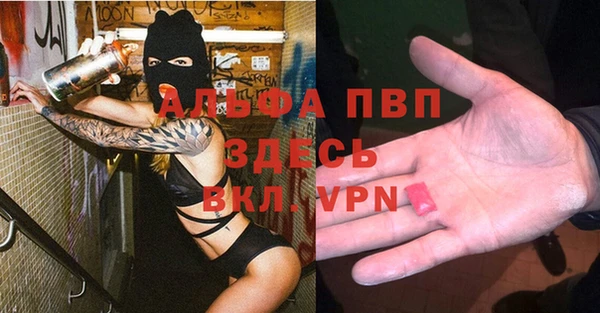 стаф Абаза