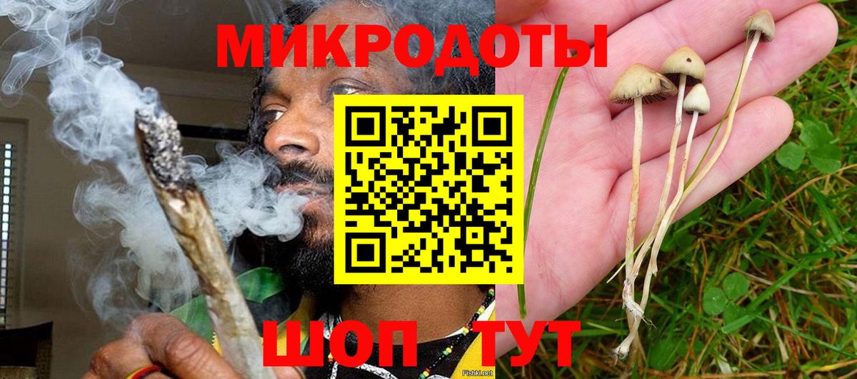 Мегион  Галлюциногенные грибы GOLDEN TEACHER  Вход с VPN  Галлюциногенные грибы Cubensis 