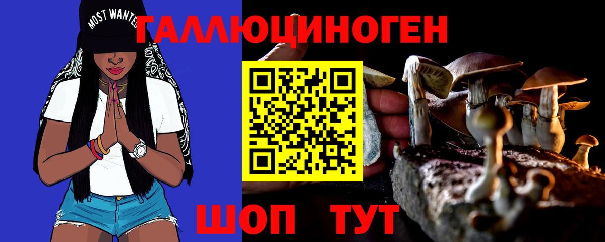 Псилоцибиновые грибы Cubensis Мегион